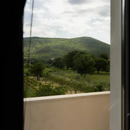Guest house Petkovic *